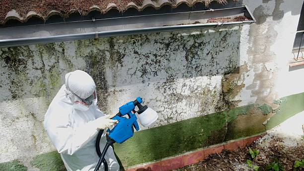 Top rated local Mold Testing specialists in Bennett, CO